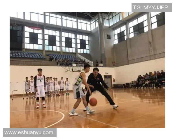 上海篮球队在大师赛中的团队协作表现分析与启示