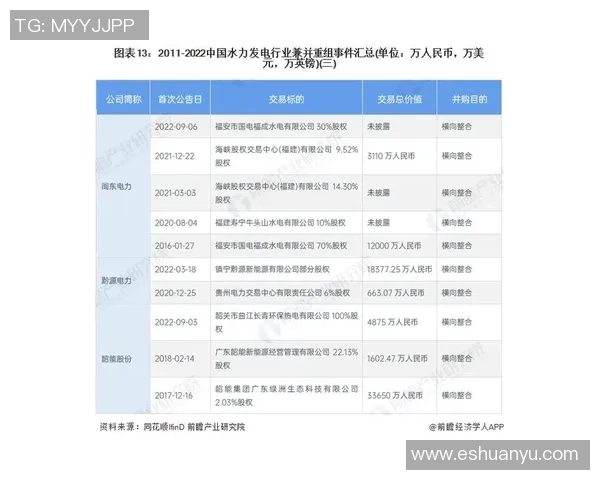 杭州排球队在杯赛中的团队协作表现分析与启示